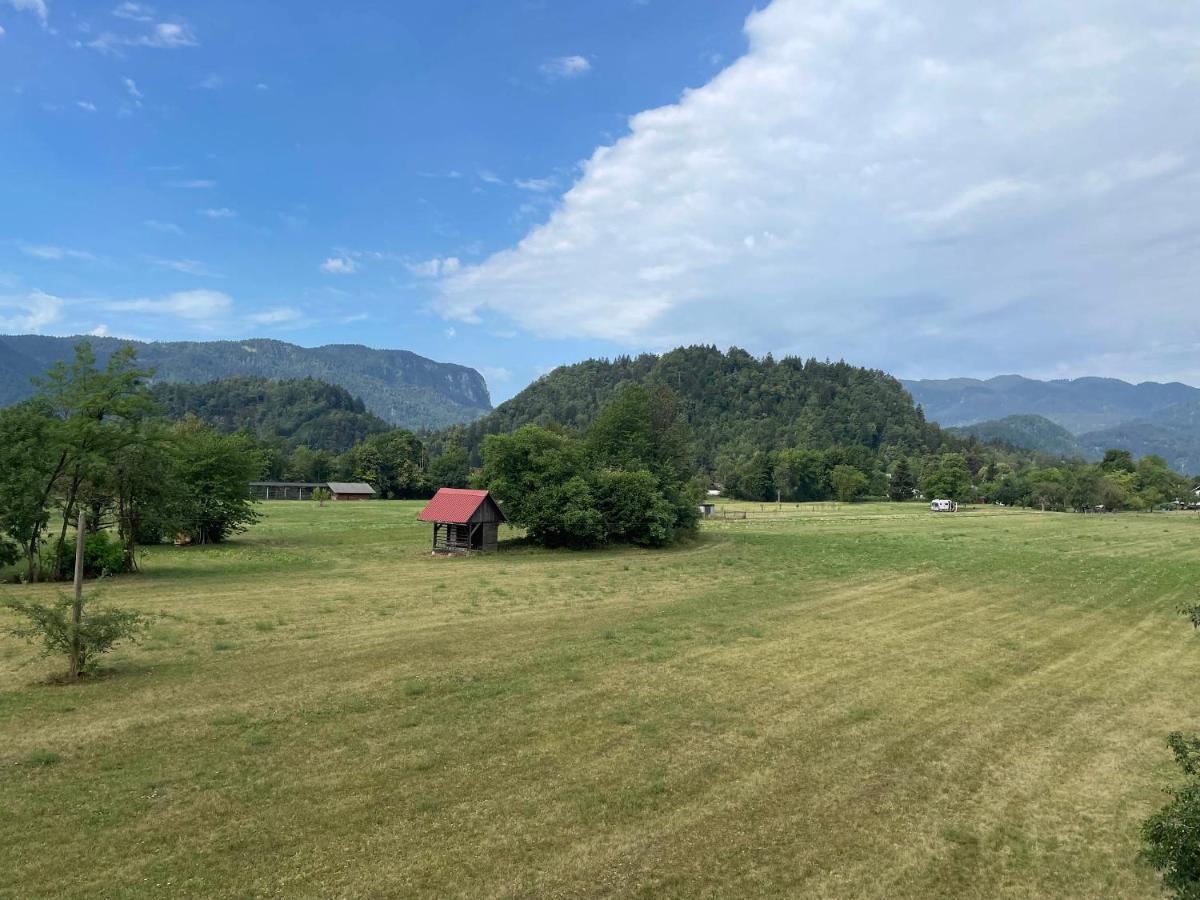 Apartmaji Iva Bled Buitenkant foto